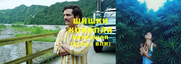 амф Каменка