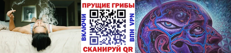 Купить закладки  Зубцов  Галлюциногенные грибы ЛСД 