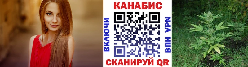 Купить где  Зубцов  Шишки марихуана Bruce Banner 